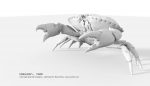 VOXILION III_Ultra High Detail 3D Printing Template_Crab.jpg